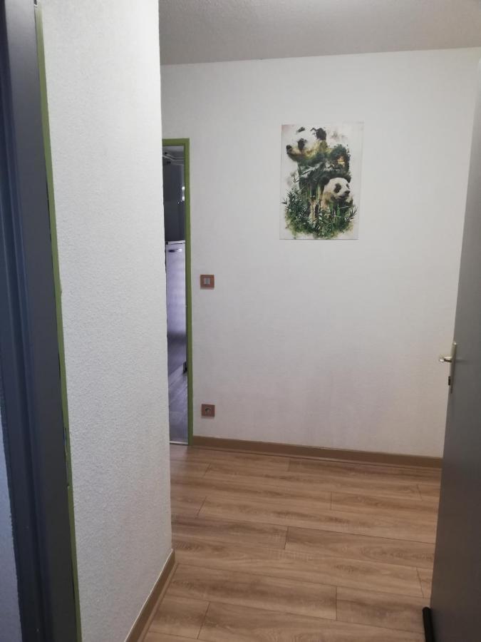 Apartmán Grand T3 Avec Clim, Parking Et Terrasse Privative - Agen Exteriér fotografie