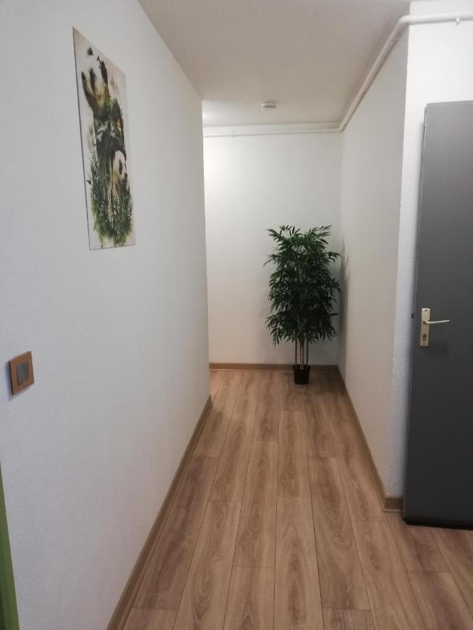 Apartmán Grand T3 Avec Clim, Parking Et Terrasse Privative - Agen Exteriér fotografie